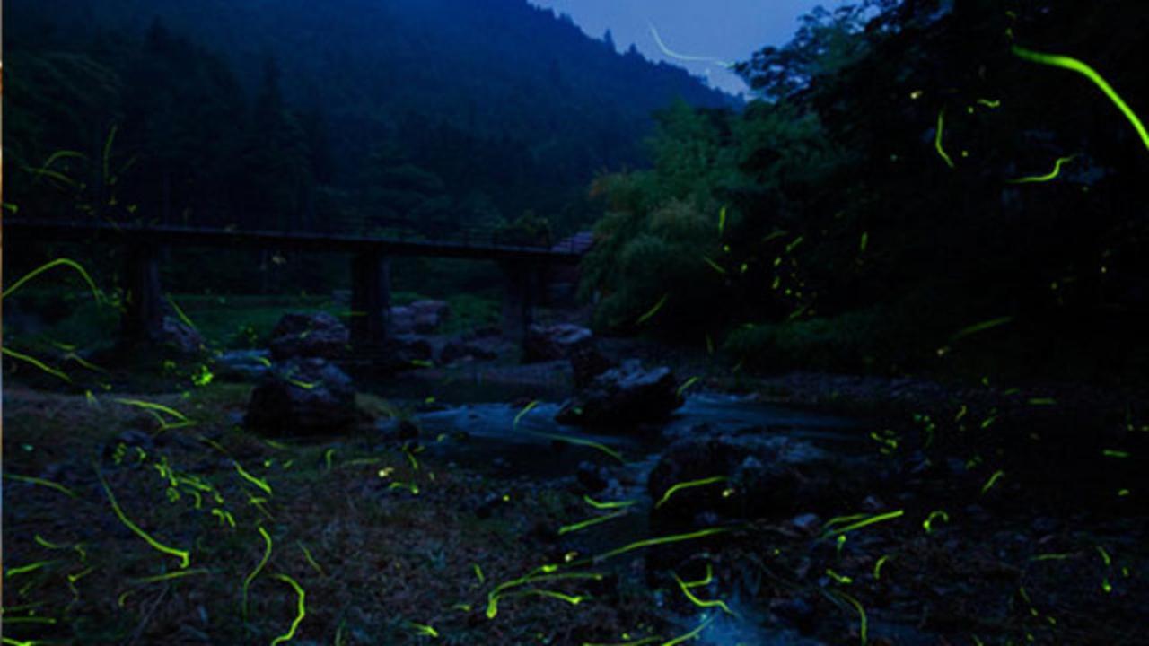 Kyukamura Oku-Musashi Hanno Buitenkant foto